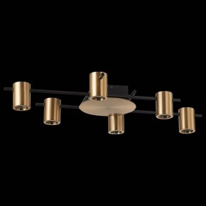 Потолочная люстра ST-Luce Veroli SL1207.402.06 в Миассе - miass.mebel24.online | фото 2