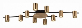 Потолочная люстра ST-Luce Veroli SL1207.402.10 в Миассе - miass.mebel24.online | фото 2