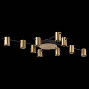 Потолочная люстра ST-Luce Veroli SL1207.402.10 в Миассе - miass.mebel24.online | фото 3