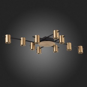 Потолочная люстра ST-Luce Veroli SL1207.402.10 в Миассе - miass.mebel24.online | фото 4