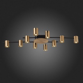 Потолочная люстра ST-Luce Veroli SL1207.402.10 в Миассе - miass.mebel24.online | фото 6