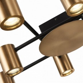 Потолочная люстра ST-Luce Veroli SL1207.402.10 в Миассе - miass.mebel24.online | фото 9