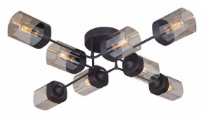 Потолочная люстра Vitaluce 4889 V4889-1/8PL в Миассе - miass.mebel24.online | фото
