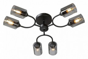 Потолочная люстра Vitaluce V2823 V2823-1/6PL в Миассе - miass.mebel24.online | фото 2