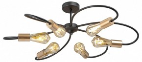 Потолочная люстра Vitaluce V3076 V3076-1/6PL в Миассе - miass.mebel24.online | фото 3