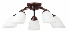 Потолочная люстра Vitaluce V3184 V3252/5PL в Миассе - miass.mebel24.online | фото