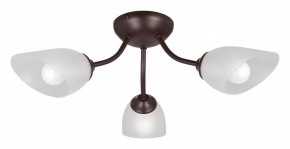 Потолочная люстра Vitaluce V3184 V3404/3PL в Миассе - miass.mebel24.online | фото