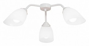 Потолочная люстра Vitaluce V31950 V31950/3PL в Миассе - miass.mebel24.online | фото