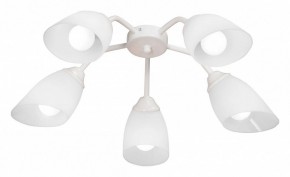 Потолочная люстра Vitaluce V31950 V31950/5PL в Миассе - miass.mebel24.online | фото