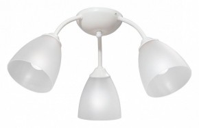 Потолочная люстра Vitaluce V3737 V3737-0/3PL в Миассе - miass.mebel24.online | фото
