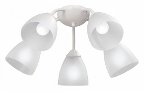 Потолочная люстра Vitaluce V3737 V3737-0/5PL в Миассе - miass.mebel24.online | фото
