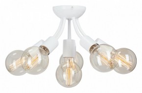 Потолочная люстра Vitaluce V3927 V3927-0/6PL в Миассе - miass.mebel24.online | фото