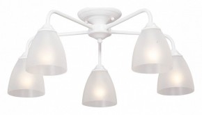 Потолочная люстра Vitaluce  V3946-0/5PL в Миассе - miass.mebel24.online | фото