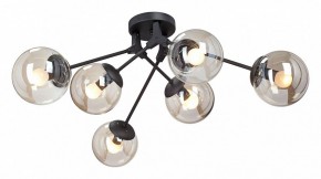 Потолочная люстра Vitaluce  V4323-1/6PL в Миассе - miass.mebel24.online | фото