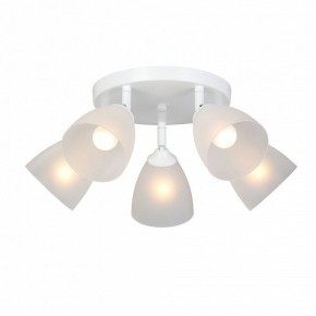 Потолочная люстра Vitaluce V4355 V4355-0/5PL в Миассе - miass.mebel24.online | фото 2