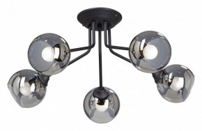 Потолочная люстра Vitaluce  V4724-1/5PL в Миассе - miass.mebel24.online | фото