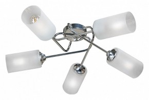Потолочная люстра Vitaluce  V4909-9/5PL в Миассе - miass.mebel24.online | фото