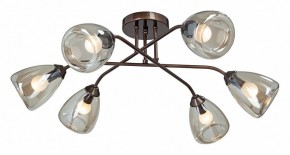 Потолочная люстра Vitaluce  V4954-7/6PL в Миассе - miass.mebel24.online | фото
