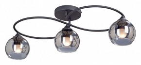 Потолочная люстра Vitaluce  V4965-1/3PL в Миассе - miass.mebel24.online | фото