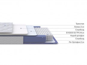 PROxSON Матрас Active Duo S/F (Ткань Трикотаж Эко) 80x190 в Миассе - miass.mebel24.online | фото 2