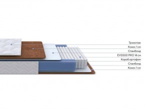 PROxSON Матрас Active F Roll (Ткань Трикотаж Эко) 80x200 в Миассе - miass.mebel24.online | фото 3