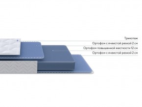PROxSON Матрас Active Flex M (Ткань Трикотаж Эко) 120x200 в Миассе - miass.mebel24.online | фото 2