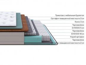 PROxSON Матрас Elysium Firm (Трикотаж Spiral-RT) 80x190 в Миассе - miass.mebel24.online | фото 2