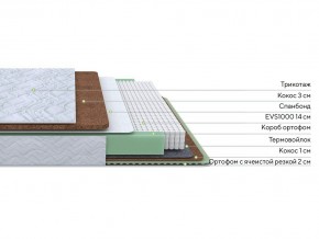 PROxSON Матрас Green Duo M/F (Tricotage Dream) 200x195 в Миассе - miass.mebel24.online | фото 2