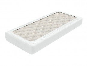 PROxSON Защитный чехол Aqua Save Light S (Ткань влагостойкая Tencel Jersey) 160x190 в Миассе - miass.mebel24.online | фото 2