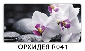 Раздвижной СТ Бриз орхидея R041 Кофе R012 в Миассе - miass.mebel24.online | фото 4