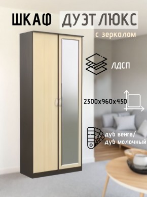 Шкаф 2-х створчатый Дуэт Люкс с зеркалом в Миассе - miass.mebel24.online | фото