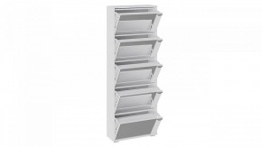 Шкаф для обуви Тип 9 в Миассе - miass.mebel24.online | фото 2