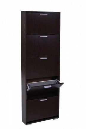 Шкаф для обуви УК-5 10000130 в Миассе - miass.mebel24.online | фото