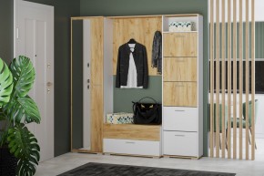 Шкаф для одежды НМ 013.40 "Санти" (Белый/Крафт Золотой) в Миассе - miass.mebel24.online | фото 3