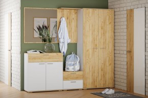 Шкаф для одежды НМ 040.42 "Санти" (Белый/Крафт Золотой) в Миассе - miass.mebel24.online | фото 3