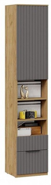 Шкаф комбинированный Хилтон Исп. 2 в Миассе - miass.mebel24.online | фото 4