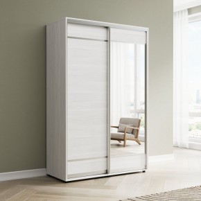 Шкаф-купе Акцент-Лайт ДЗ 1000-600 в Миассе - miass.mebel24.online | фото 3