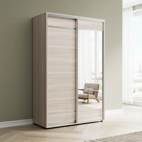 Шкаф-купе Акцент-Лайт ДЗ 1000-600 в Миассе - miass.mebel24.online | фото 6