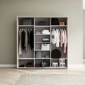Шкаф-купе Акцент-Лайт ДЗ 2100-600 в Миассе - miass.mebel24.online | фото 7