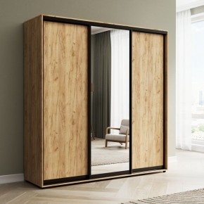 Шкаф-купе Акцент-Сим ДЗ 1500-600 в Миассе - miass.mebel24.online | фото 4