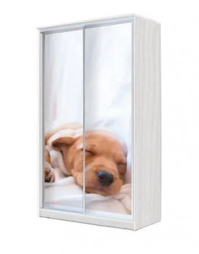Шкаф-купе ХИТ 22-12/2-77 (620) в Миассе - miass.mebel24.online | фото 5