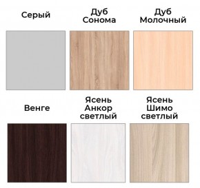 Шкаф-купе ХИТ 22-4-14-11 (420) в Миассе - miass.mebel24.online | фото 5