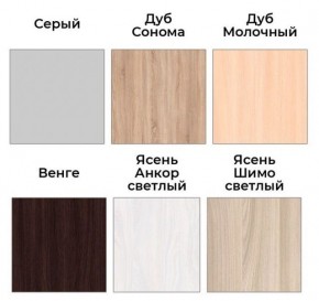 Шкаф-купе ХИТ 22-4-17-55 (420) в Миассе - miass.mebel24.online | фото 3