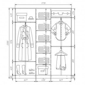 Шкаф-купе ХИТ 22-4-18-555 (420) в Миассе - miass.mebel24.online | фото 2