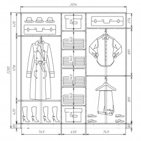 Шкаф-купе ХИТ 22-4-20-555 (420) в Миассе - miass.mebel24.online | фото 2