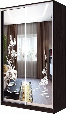 Шкаф-купе ХИТ 23-15-66 ЦАПЛИ в Миассе - miass.mebel24.online | фото