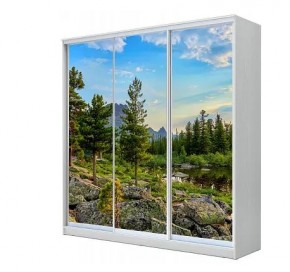 Шкаф-купе ХИТ 23-4-20-777 (420) в Миассе - miass.mebel24.online | фото