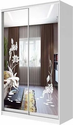 Шкаф-купе ХИТ 24-4-14-66 ЦАПЛИ в Миассе - miass.mebel24.online | фото