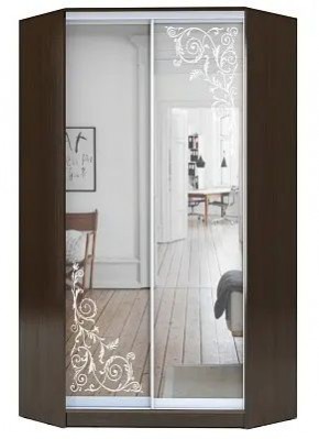 Шкаф-купе ХИТ-У-R-22-64-66 ОРНАМЕНТ в Миассе - miass.mebel24.online | фото