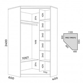 Шкаф-купе ХИТ-У-R-24-64-11 в Миассе - miass.mebel24.online | фото 3